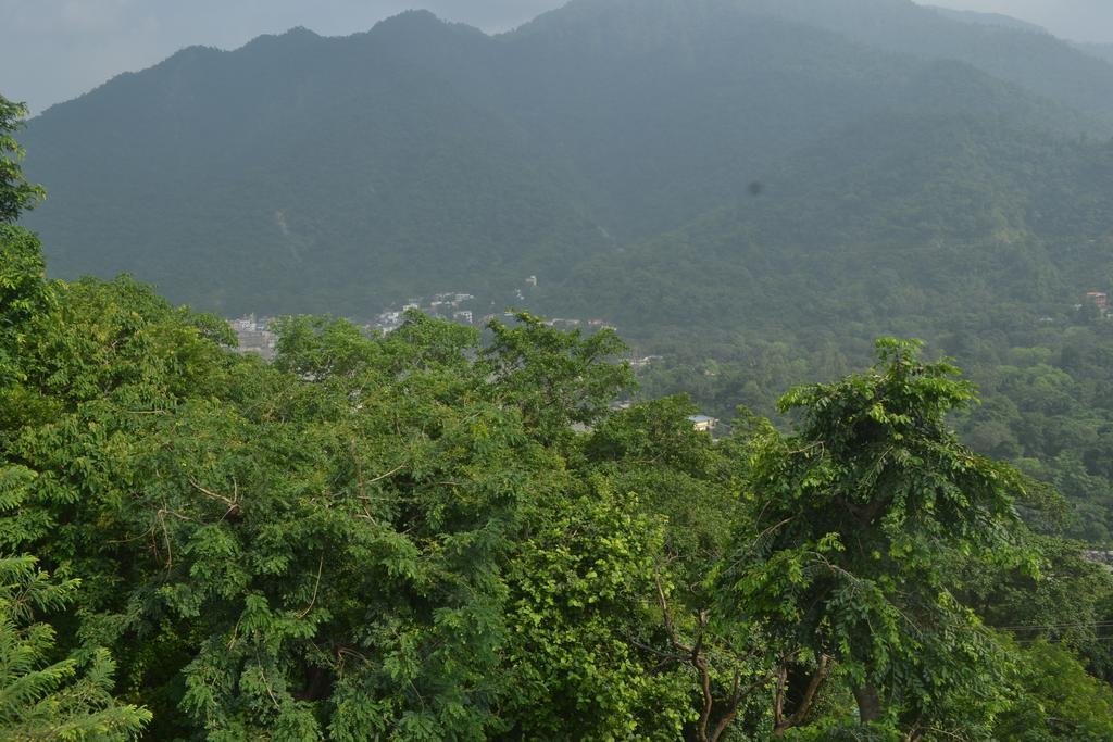 Mount Valley Mama Cottage Rishikesh Ruang foto