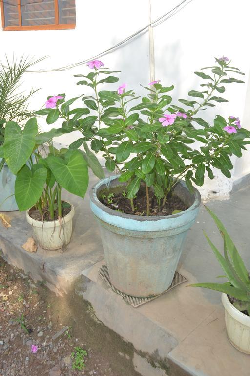 Mount Valley Mama Cottage Rishikesh Bagian luar foto